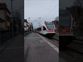 S6 in Bahnhof Riehen Schweiz🇨🇭#sbb #cff #ffs #sbahn #zug #züge #travel #öv #shorts #yt