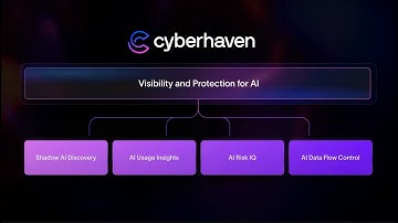 Cyberhaven Spring 2025 Product Launch