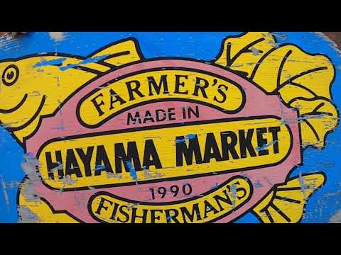 Video: Aantekeningen Uit Een Tyfoon: Hayama, Japan - Matador Network