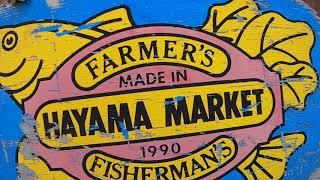 Exploring Hayama Kanagawa