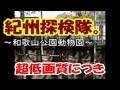 【だらず系】紀州探検隊　「和歌山公園動物園。」【ガサツ女子】