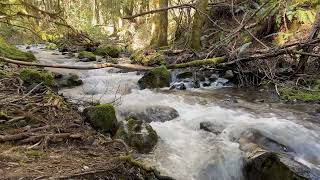 4K Rough creek white noise for focus | study | asmr