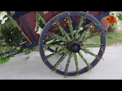 Desfile de carroças engalanadas recria tradições em Portalegre