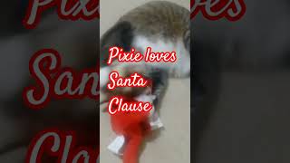 Pixie Love Santa Clause #Santa #Short