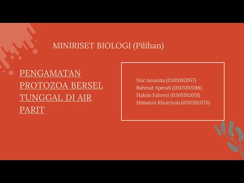 Video: Mengapa organisme bersel tunggal penting?