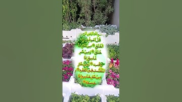 #سورة_الفلق #اكسبلور #المصحف #duet #تيك_توك #دحمان #لايك