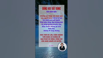 Trí Tuệ Lớn Nhất Là Không Can Thiệp Vào Nhân Quả Của Người Khác #violethannguyen #anvui #tamtrang