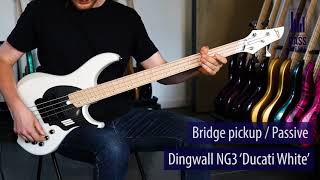 Dingwall Guitars Ng3 Ducati White Live Demo - Bassfreaksnet