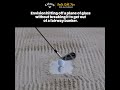 Insta Golf Tips: How To Hit Out Of A Fairway Bunker