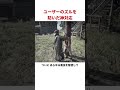 無敵の子供NPCを倒したら…開発者の罠だった