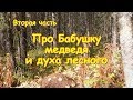 Про бабушку, медведя и духа леса ( вторая часть)