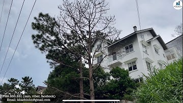 Đắc địa đất 2 MẶT TIỀN đường chính Đặng Thái Thân,P.3, Đà Lạt. 371m2 - giá nóng hổi giảm còn 26 tỷ.