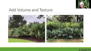 Webinar: Palms in North Florida Landscapes: Creating Success Stories