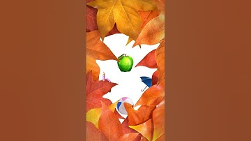 visual memory test #3