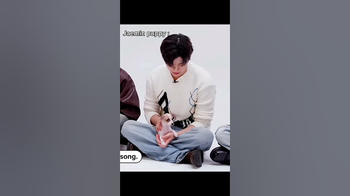 puppynya grerogi 😭 #nct #nctdream #chenle #mark #haechan #jaemin #jeno #jisung #renjun #kpop #shorts