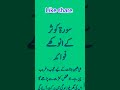 Wazefa Surah Kauasr Our Us K Anokhy Fowayed Wazefa Surah Kauasr Our Us K Anokhy Fowayed