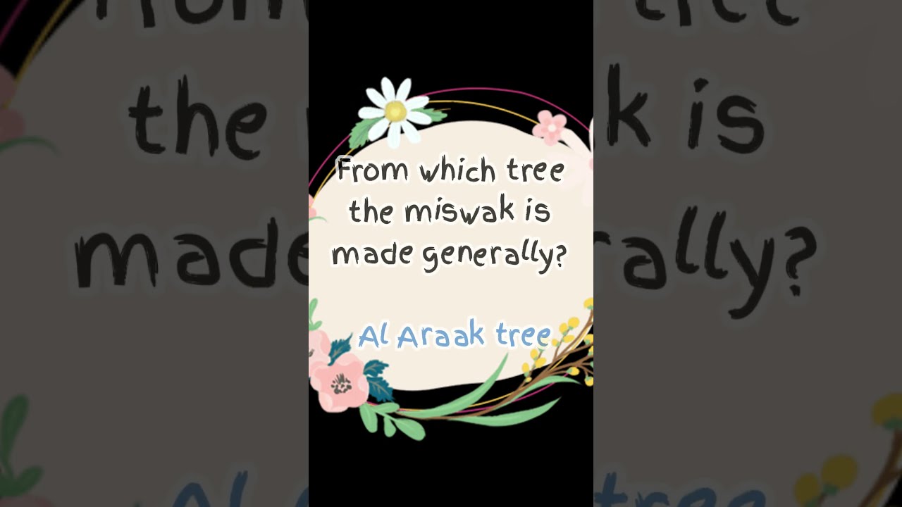 Quran shorts | Learn Islam 001 | 