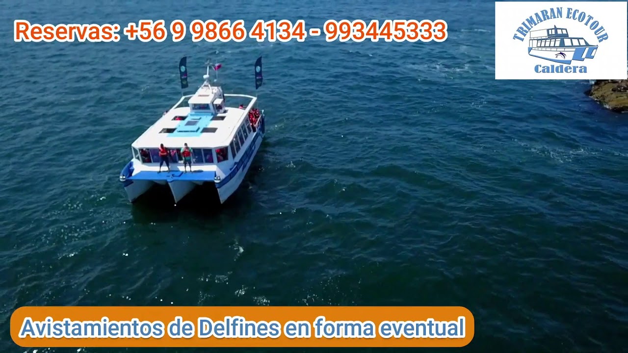Ecotour Trimarán - Caldera - Región de Atacama