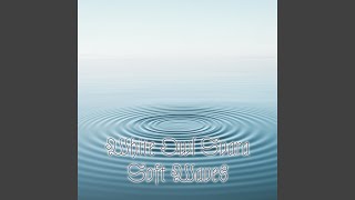 Soft Waves screenshot 5