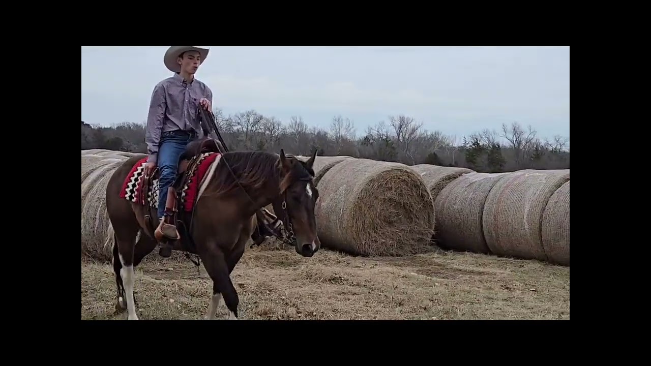 2021 Registered paint mare “Cherokee”