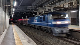 5053レ EF210-131号機牽引貨物列車(下り)相見駅通過