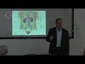 علم التشريح ووظائف الاعضاء الجهاز البولي The Urinary System 