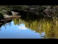 Печора. Тайга. К слову о комарах. Исповедь молодого вахтовика. #печора