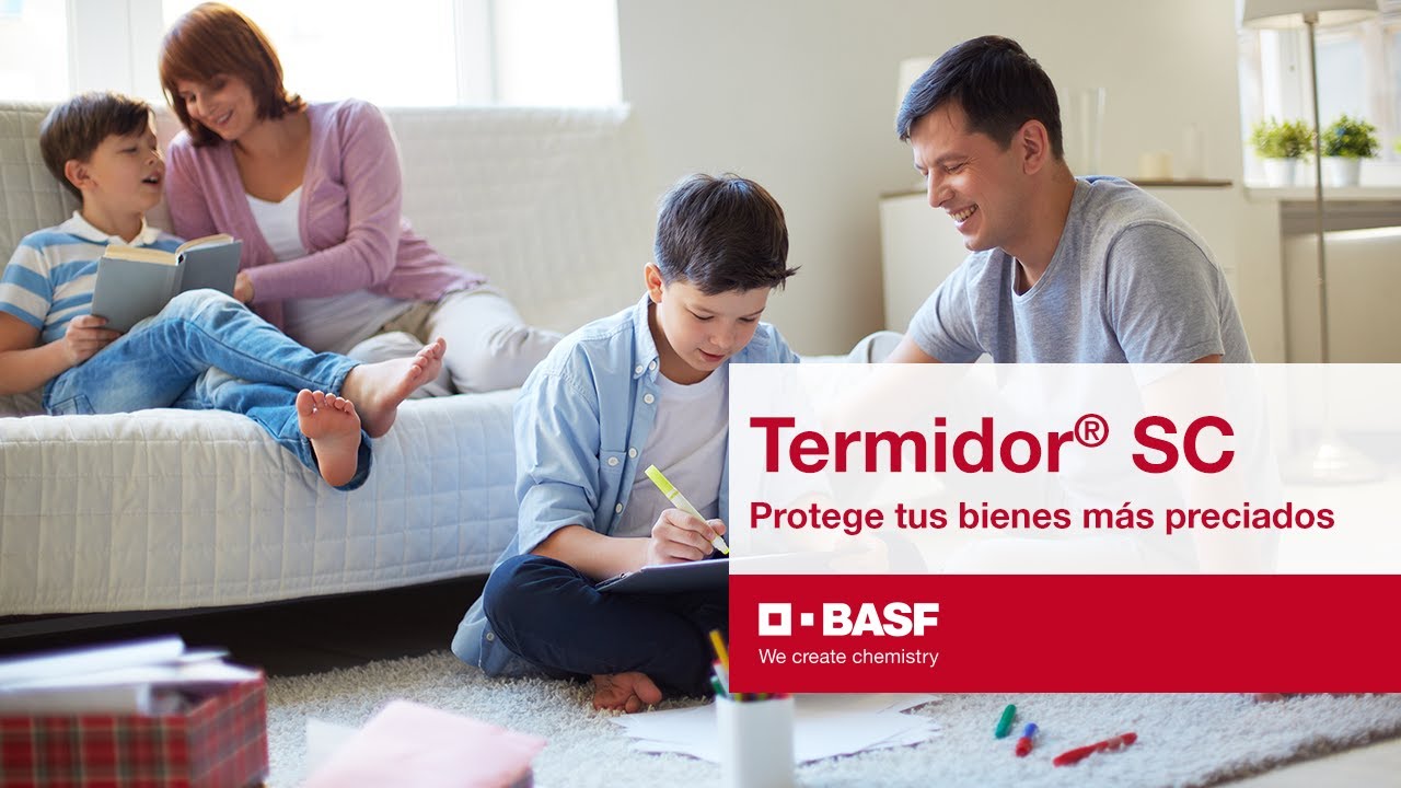 Termidor?? SC, protege de las termitas tus bienes m??s preciados YouTube