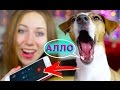 РЕАКЦИЯ ПОДПИСЧИКОВ НА ЗВОНКИ ЧТО-ТО ПОШЛО НЕ ТАК | Elli Di Pets