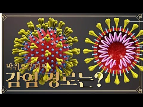 명대사 명장면 - 박쥐로부터의 바이러스 감염경로는? - Contagion 2011