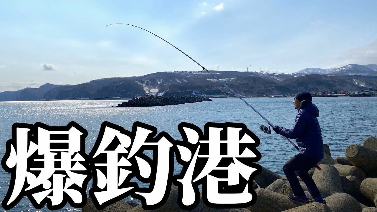 【北海道】【釣り】初心者でも速攻で釣れる漁港に大興奮‼️