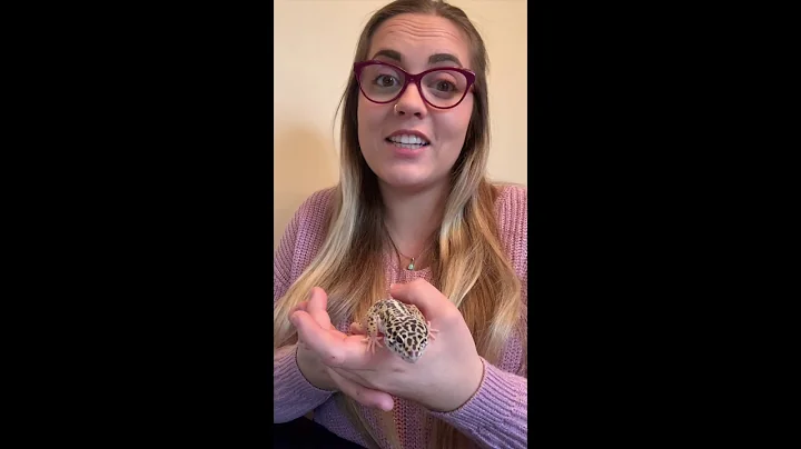Erin Kolb- Interpretive Interview