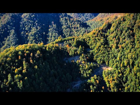 ტობავარჩხილის ტბამდე მისასვლელი 10 კმ-იანი საავტომობილო გზის რეაბილიტაცია დასრულდა