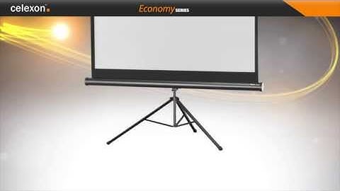 celexon screen tripod economy