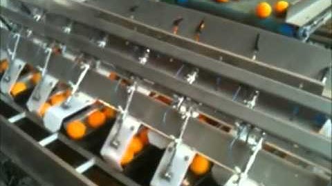 Citrus Weighing and Packaging TP1000