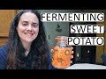 Fermenting Sweet Potatoes With Jalapenos For A Unique and Spicy Treat