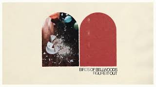 Video thumbnail of "Birds of Bellwoods - Figure It Out [Audio Visualizer]"