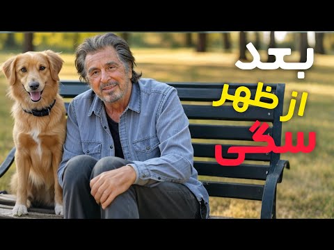 وقتی آل پاچینو دیوانه وار درخشید خاطرات کارگردان از Dog Day Afternoon