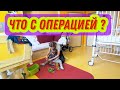 #81 Из Германии в России / Ну что поговорим?