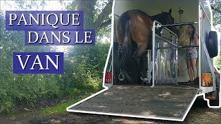 PANIQUE DANS LE VAN - #VLOG