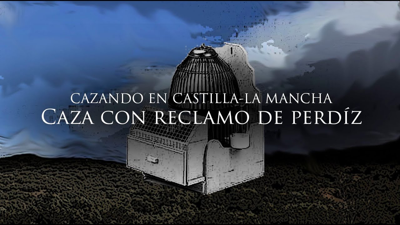 CAZA con RECLAMO de PERDÍZ