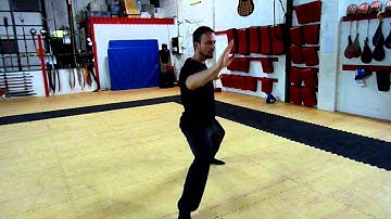 Hunyan 24 Taiji form  - T.A. Jaensch