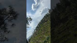 Scenic Pine-Covered Hillside Under Dramatic Clouds and Blue Sky