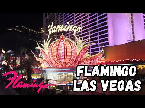 Flamingo Las Vegas - The Charming hotel built by the famous mobster Bugsy Siegel