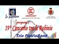 Concerto tra le robinie