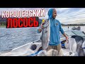 КОРОЛЕВСКИЙ ЛОСОСЬ РЫБАЛКА НА РЕКЕ КОЛУМБИЯ