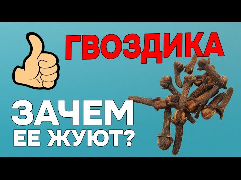 Зачем Жевать Гвоздику по 2 бутона в день? ГВОЗДИКА - польза и вред для организма.