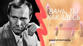 Василий Макарович Шукшин: "Вань, ты как здесь"/Аудиоспектакль, 1969 год/