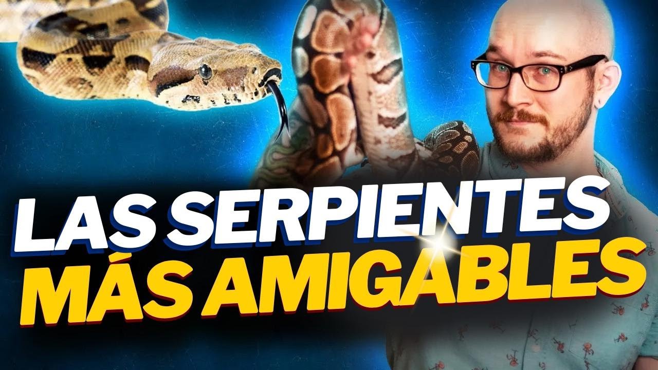 ¡Las 5 serpientes más amigables para tener como mascota! Conoce mi nueva y rara serpiente
