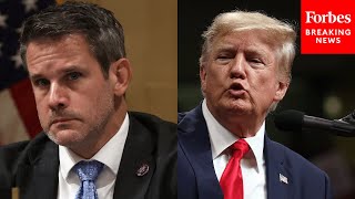 Adam Kinzinger Blasts Trump For Trying To Put ‘A Facade Of Legitimacy’ On Election Fraud Claims